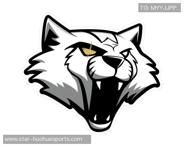 提升电竞比分科学CSGO团队协作的有效训练方法探讨与实践